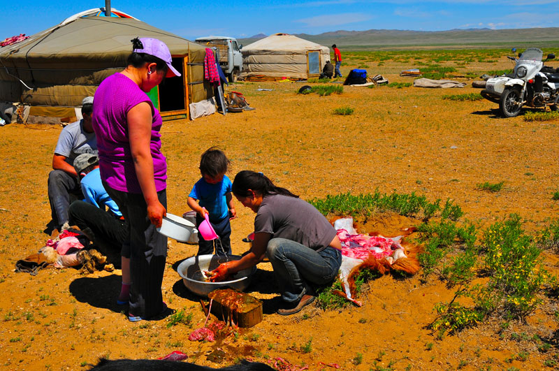 Mongolie